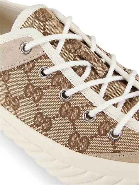 Shop Gucci Tortuga Low